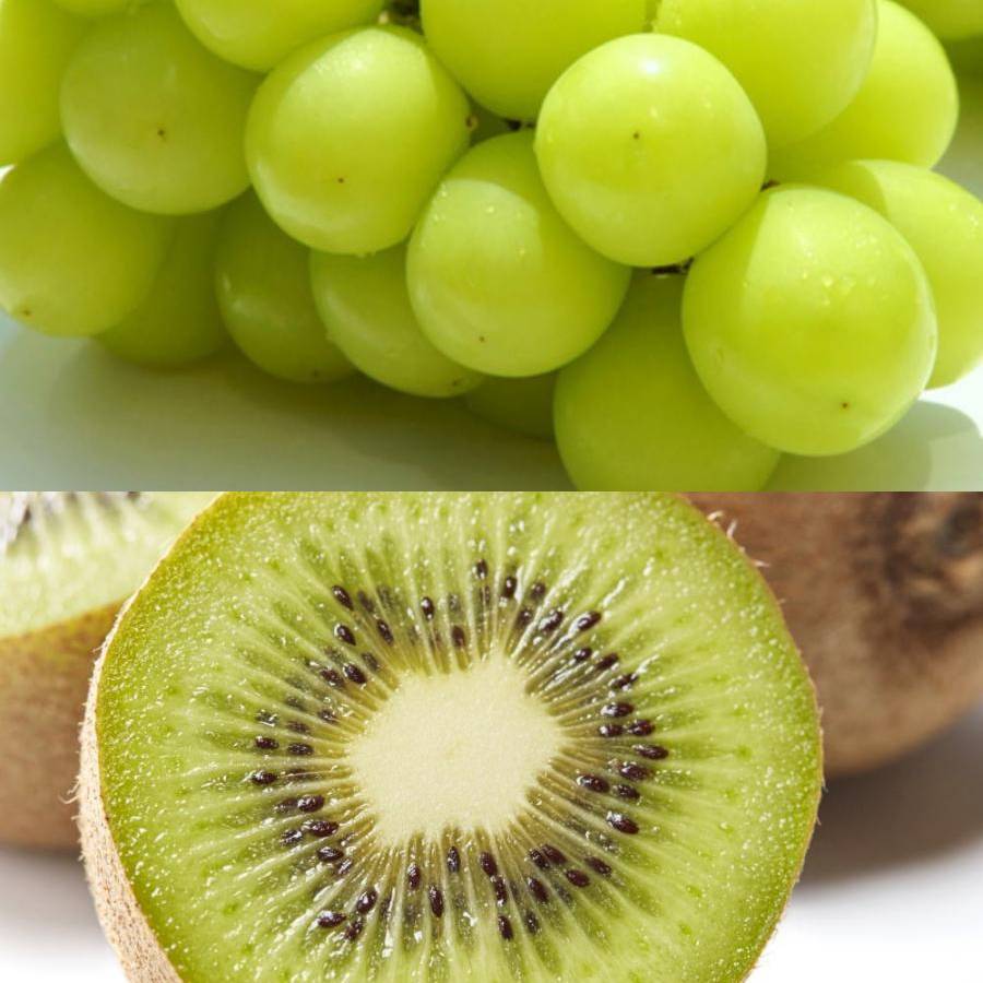 和歌山県産”秀品”「旬の果物」（マンゴー入）【６回定期便】