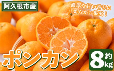 ＜2024年12月以降順次発送予定＞数量限定！ポンカン(約8kg）国産 ポンカン 柑橘 果物 フルーツ デザート 果実【あくね旬の店いきいき館】a-12-293-z