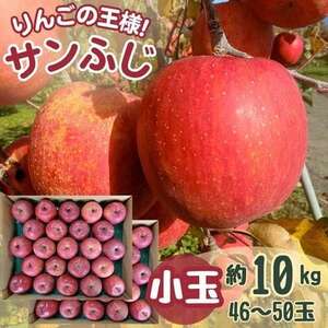 サンふじ 小玉 10kg 43～50玉【1587842】