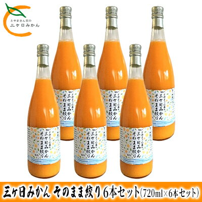 【ふるさと納税】三ヶ日みかん そのまま絞り 6本セット（720ml×6本セット） みかん ジュース 100%　 果物 フルーツ 安全 おいしい 果肉 こだわり 酸味 濃厚 甘い 果汁飲料 無添加 子供
