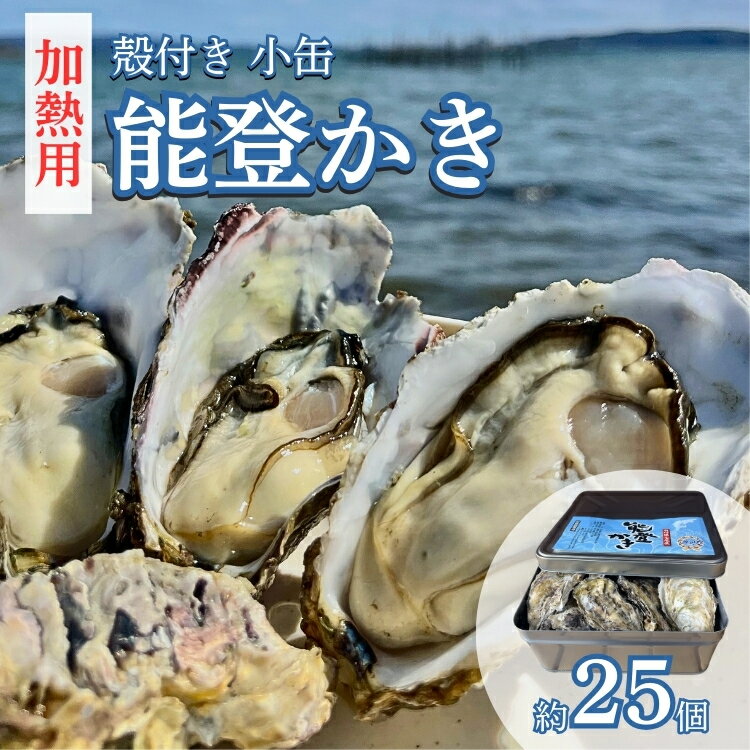 【ふるさと納税】＼選べる発送時期／能登かき　殻付き小缶(加熱用) ※北海道・沖縄・離島への配送不可