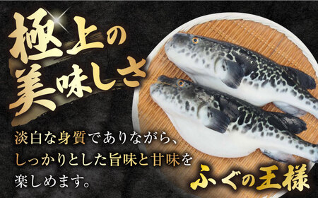 トラ フグ 下処理済み あら 480g（240g×2パック）＜大島水産種苗＞ [CBW009] 長崎 西海 14000 14000 魚 海鮮 下処理済み フグ ふぐ ふく フク トラフグ とらふぐ 西