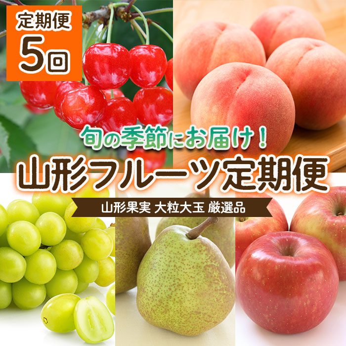 【定期便5回】山形果実 大粒 大玉 厳選品 【令和6年産先行