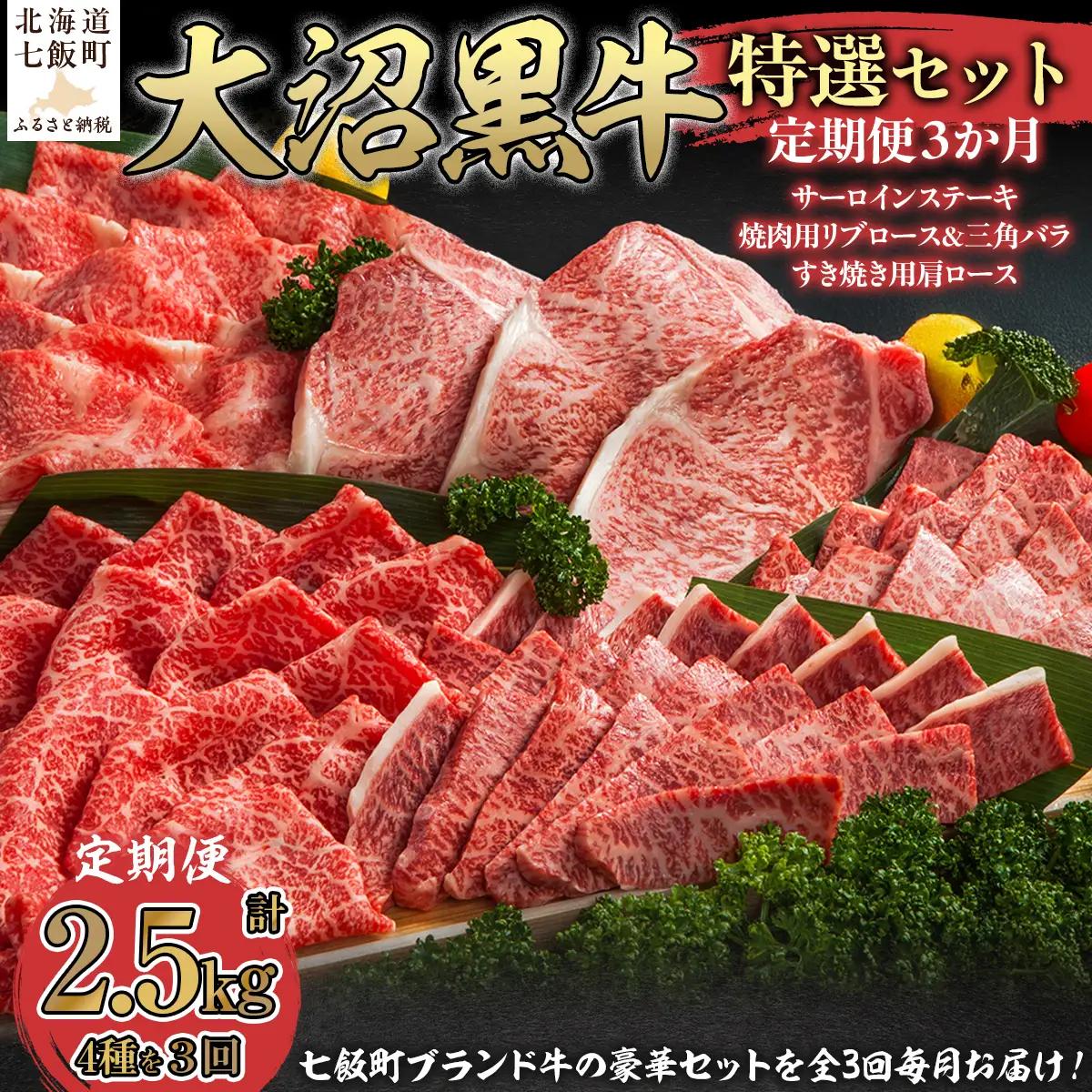 【北海道ブランド牛】大沼黒牛の特選セット 定期便3ヶ月 NAM059