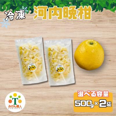 ふるさと納税 愛南町 冷凍 河内晩柑 500g×2袋 小分け 愛南ゴールド 和製グレープフルーツ おやつ 柑橘 かんきつ