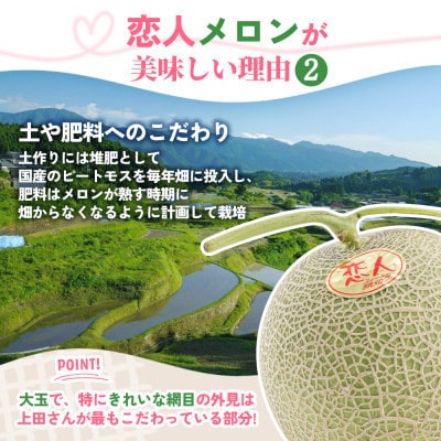 【期間限定 数量限定】熊本県 美里町 「恋人メロン」 赤肉メロン 約1.4kg(1玉)【上田農園】