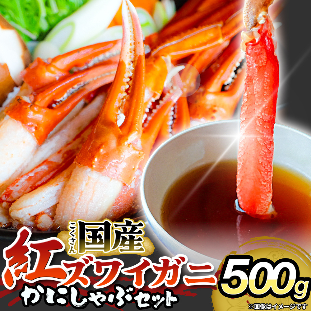 【先行予約】かに しゃぶしゃぶ 紅ズワイガニ 500g 国産 カ