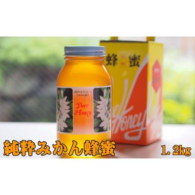 ふるさと納税 紀美野町 純粋みかん蜂蜜1.2kg和歌山県紀美野町産 |  | 01