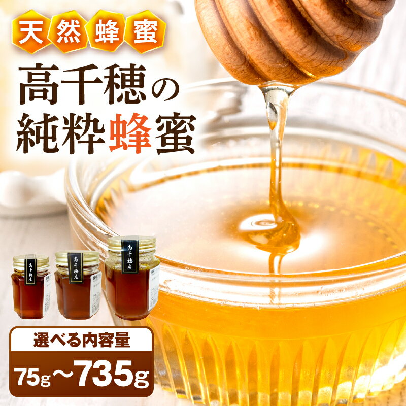 【ふるさと納税】【選べる内容量】日本みつばち 高千穂の純粋蜂蜜 蜂蜜 はちみつ 日本みつばち 純粋蜂蜜 国産蜂蜜 天然蜂蜜 垂れ蜜 蜜蜂 希少 蜂蜜 濃厚 花 伝統製法 特産品 宮崎県 高千穂町