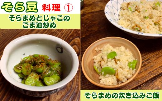 早春のそら豆とちりめんじゃこをごま油で炒めて、七味唐辛子を少々！そら豆とホタテをお出汁で炊き込みご飯に！どちらも絶品の旨さです♪