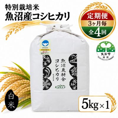 ふるさと納税 魚沼市 【3ヵ月毎定期便】米農家自慢の特別栽培米 魚沼産 コシヒカリ(精米) 5kg×1袋全4回