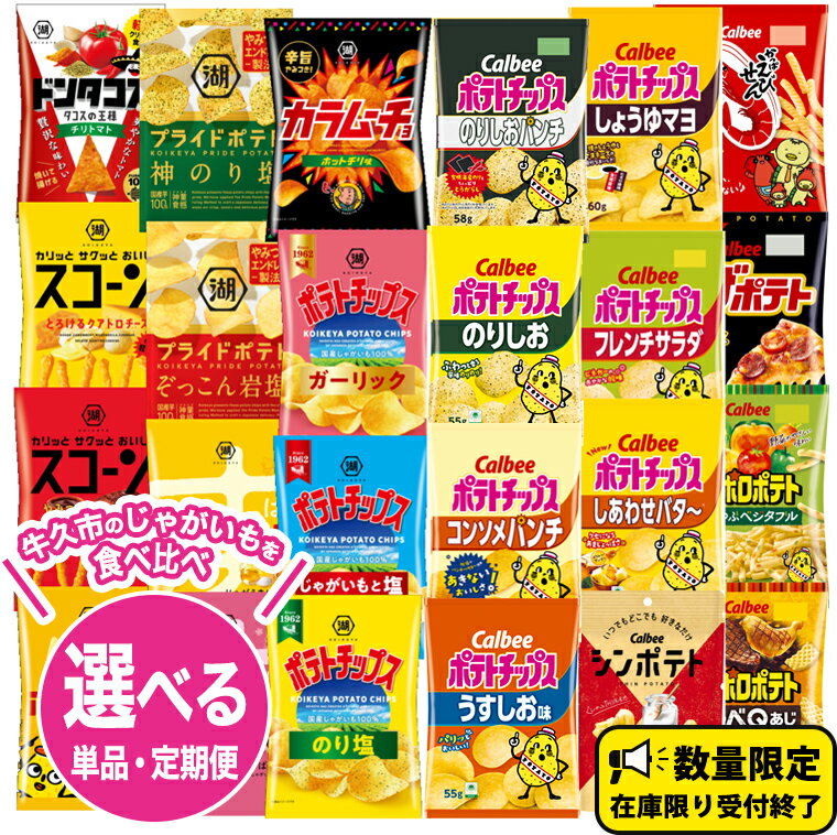 【ふるさと納税】＼ 10営業日以内に発送 ／【選べる配送方法】カルビー 湖池屋 人気 詰め合わせ お楽しみ スナック菓子 セット 単品24袋 定期便 3 ・ 6か月 ポテトチップス ポテチ お菓子 おかし 大量 Calbee ポテト じゃがいも 頒布会 数量限定