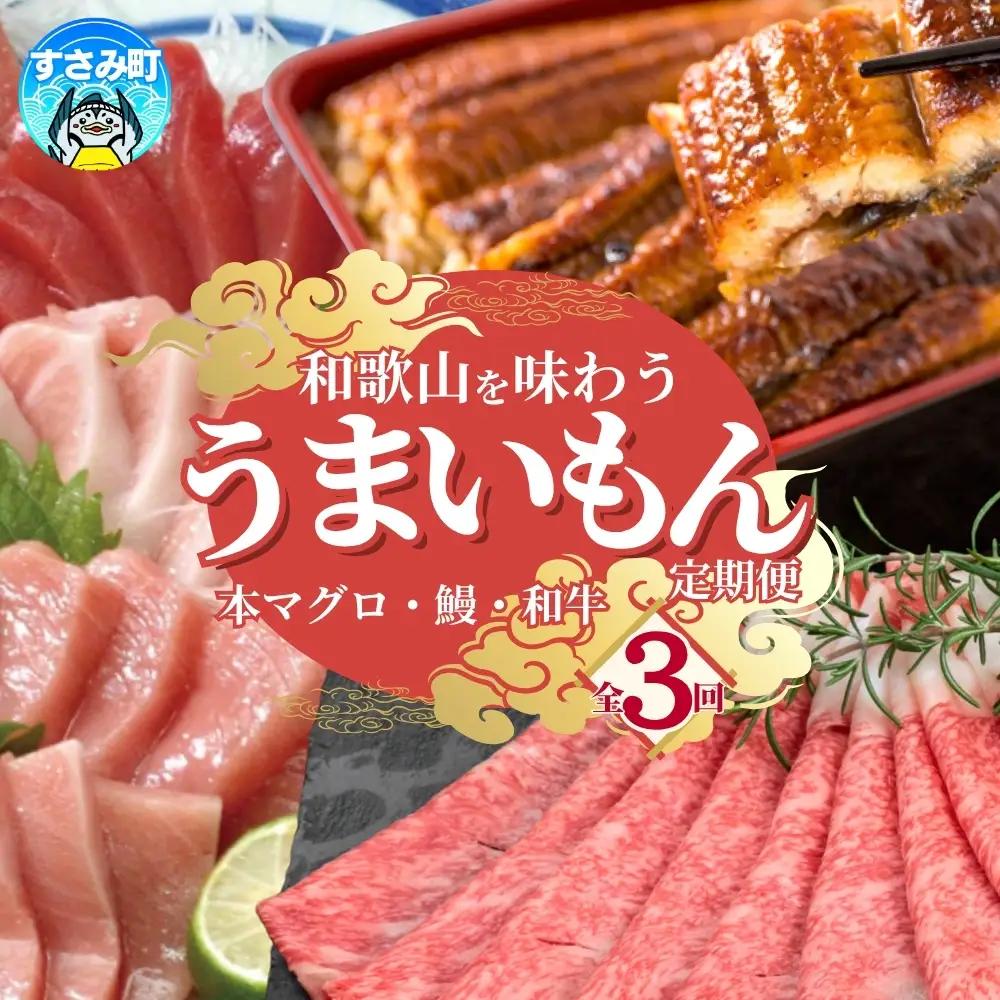 定期便【全3回/毎月お届け】和歌山うまいもん定期便 本マグロ・国産うなぎ･高級和牛【tkb300】 