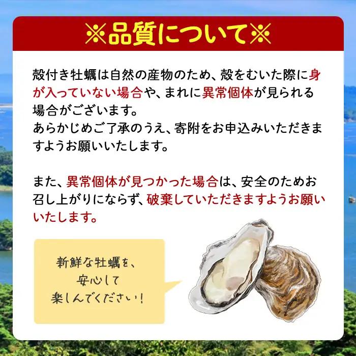 松島牡蠣屋 冷凍牡蠣（生食用）2kg 宮城県産 牡蛎 牡蠣 カキ オイスター カキフライ 牡蠣鍋 海鮮 国産 魚貝類 急速冷凍 【菊地水産合同会社】sh157