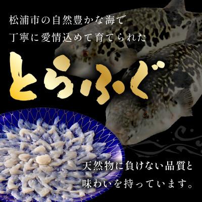 ふるさと納税 松浦市 漁協直送 とらふぐ刺身とちり鍋セット3〜4人前(白子・茶漬け付) |  | 01