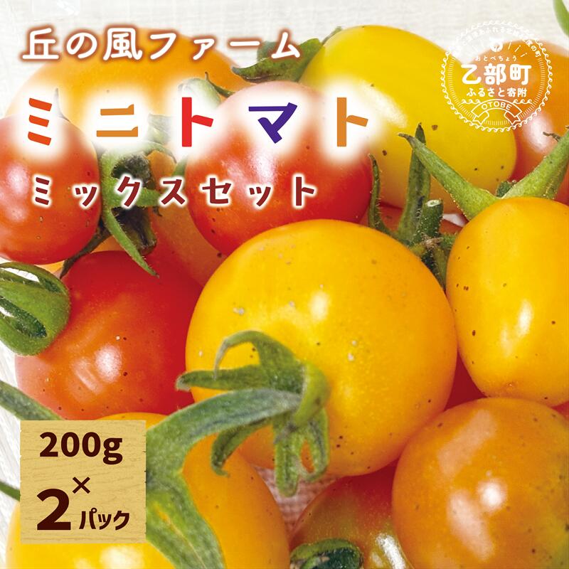 【ふるさと納税】＜丘の風ファーム ミニトマトミックス2パックセット＞
