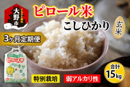 【令和6年産 新米】【3ヶ月定期便】こだわりの米！弱アルカリ性のピロール米 こしひかり 玄米 5kg×3回 計15kg [C-009002]