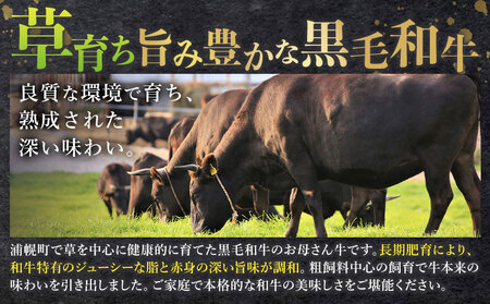 黒毛和牛 うらほろ完熟ビーフ すき焼き 300g 一般社団法人十勝うらほろ樂舎 《2026年2月出荷開始 30日以内に出荷予定(土日祝除く》 北海道 浦幌町 黒毛和牛 国産牛 すき焼き 肩ロース うら