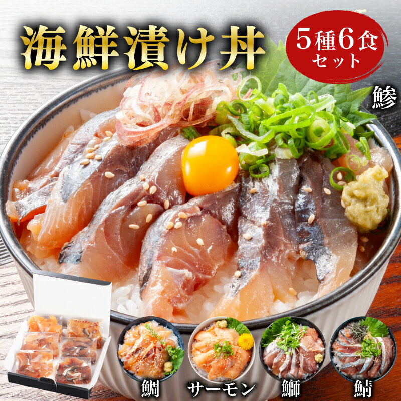 【ふるさと納税】 海鮮 漬け丼 セット 5種6食 冷凍 真空パック 刺身 海鮮丼 漬け丼 魚介 高級魚 鮭 サーモン タイ 鯛 真鯛 さば 鯖 ぶり アジ 鯵 お手軽 便利 個包装 小分け 食べ比べ 人気 加工品 海鮮 詰め合わせ 流水解凍 ギフト プレゼント お歳暮 お中元 山口県 下関市