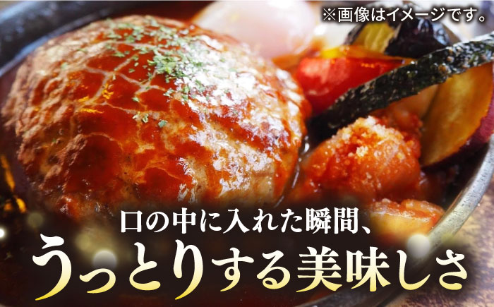 【全12回定期便】壱岐牛 A5ランク 牛ミンチ 約500g×6 《壱岐市》【KRAZY MEAT】[JER048] 小分け ミンチ 挽き肉 ひき肉 牛肉 赤身 ハンバーグ 肉 個包装 408000 4