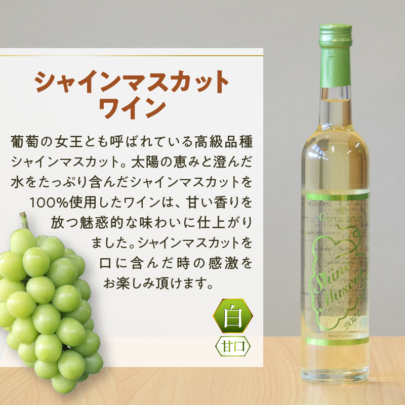 Premiumワインギフト（白）飲み比べ500ml×2本『シャインマスカットワイン2022・2023』（HO）C3-775
