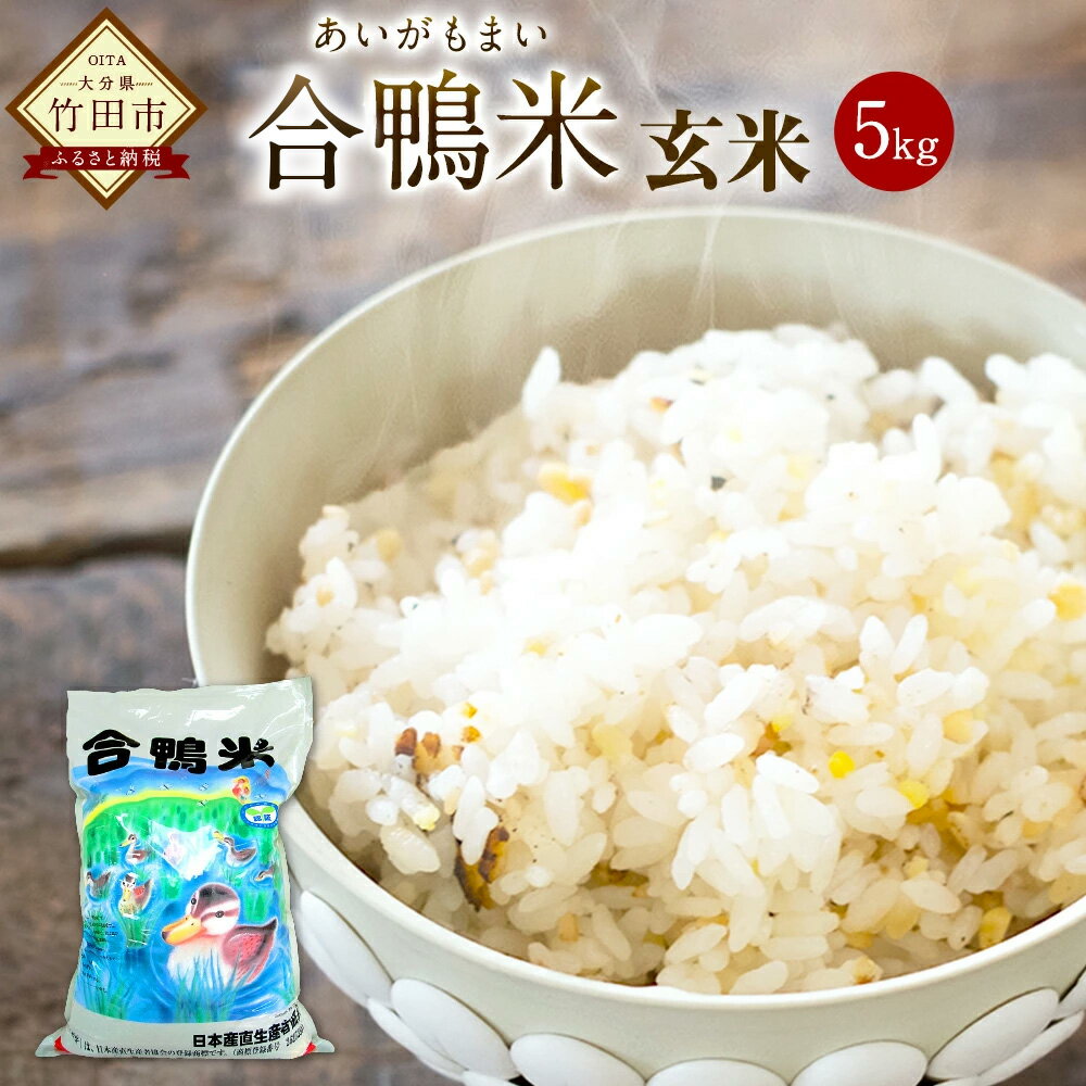 【ふるさと納税】〈令和7年産〉 合鴨米 玄米 5kg 送料無料 ナツホノカ うるち玄米 祖母山 一番水 大分県産【2025年10月上旬～2026年10月上旬発送予定】