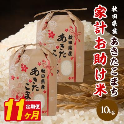ふるさと納税 八郎潟町 【毎月定期便】あきたこまち 家計お助け米 10kg(5kg×2袋)【白米】 秋田県産全11回