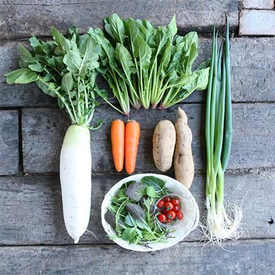 ふるさと納税 真庭市 まにわの新鮮野菜セット 7〜8品