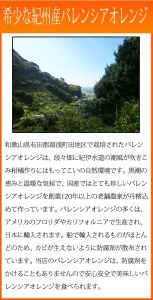 秀品　希少な国産バレンシアオレンジ　2.5kg　※2024年6月下旬頃～2024年7月上旬頃に順次発送予定（お届け日指定不可）【uot752】