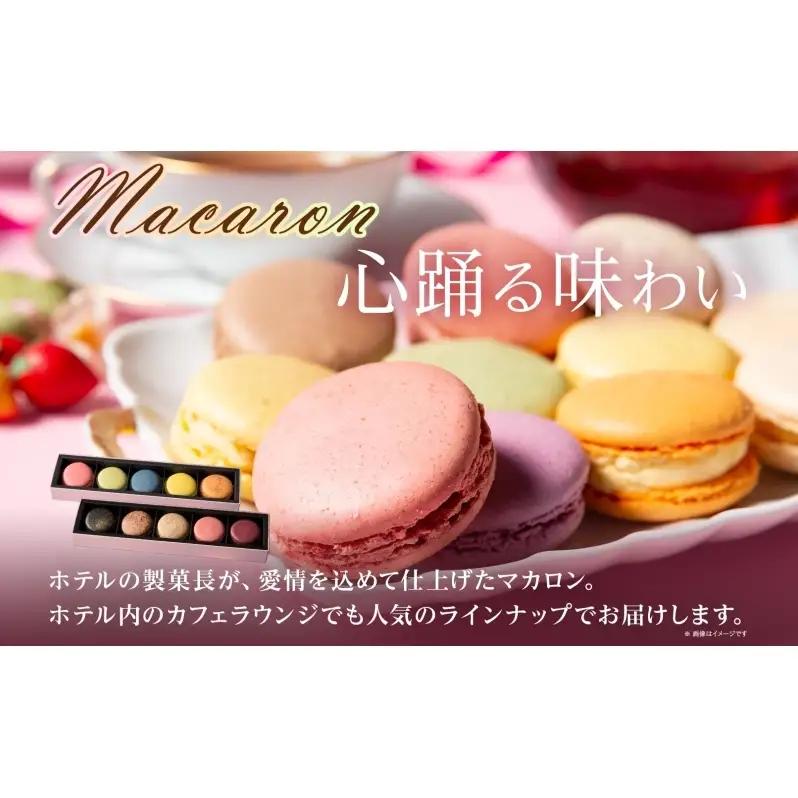 ボンボンショコラ 10粒 マカロン 5個入り×2箱 セット チョコレート チョコ ボンボン ショコラ スイーツ 菓子 おやつ 洋菓子 製菓 贈り物 ギフト お取り寄せ 送料無料 ザ・ウィンザーホテル洞