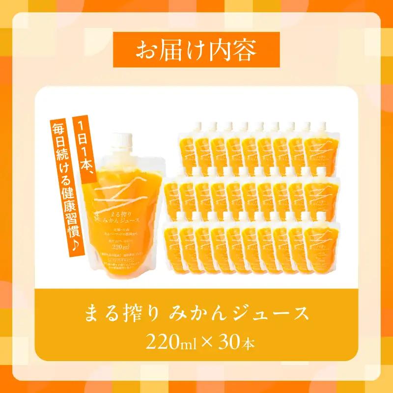 果汁 100％ まる搾り みかん ジュース 220ml×30本_GB7-26