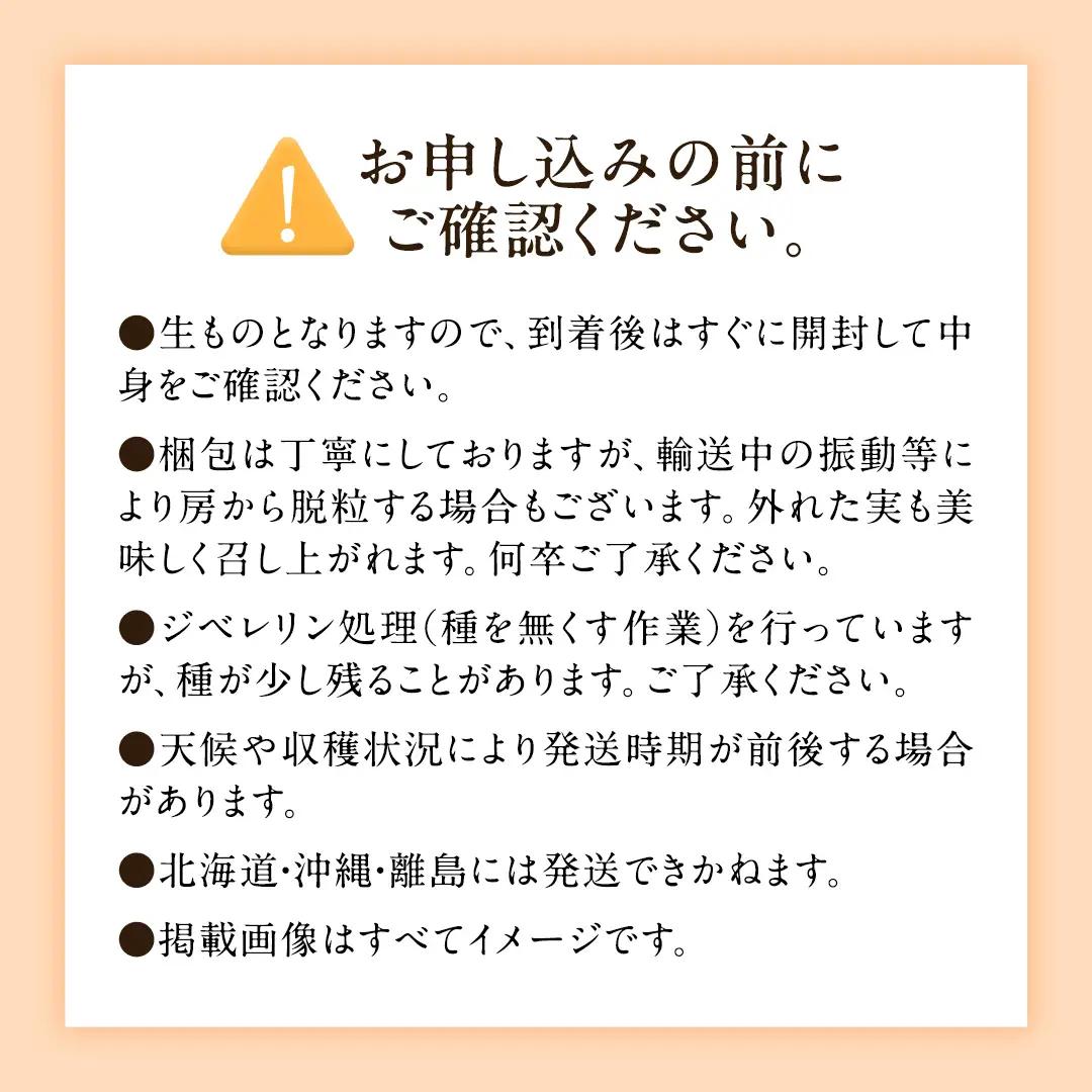 【2026年9月中旬発送開始】《先行予約》シャインマスカット ご自宅用 約 1kg  ( 2房 ～ 3房 ) ( 茨城県共通返礼品 かすみがうら市 ) マスカット 葡萄 ぶどう ブドウ 歯ごたえ 甘み