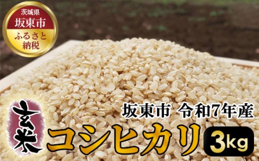 玄米　コシヒカリ3kg【令和7年産】 ／ こしひかり 令和7年 新米 米 お米 おこめ こめ コメ 玄米 げんまい ご飯 国産米 3kg 3キロ 食物繊維 ビタミン ミネラル おいしい お取り寄せ 産地直送 産直 坂東市産 茨城県産 茨城産 茨城県 特産品 No.385