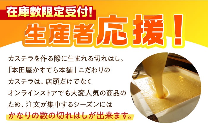 【訳あり】特製 長崎 カステラ 切れはし 5本 セット（約300g×5本） / 南島原市 / 本田屋かすてら本舗[SAW058]