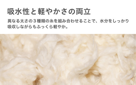 スリータイムズ ハンドタオル 各色2枚 合計10枚セット ： 日本製 紡績会社のこだわりタオル