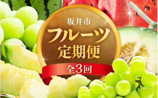 【先行予約】【定期便 3回コース】坂井市フルーツ三昧！！お試し3回コース (アールスメロン1玉 ＆ シャインマスカット1房 ＆ 大玉スイカ1玉) お試しコース【2027年6月中旬以降順次発送予定】【フルーツ 果物 くだもの デザート 青肉 葡萄 ぶどう ブドウ 旬の味覚 産地直送】 [E-3216]