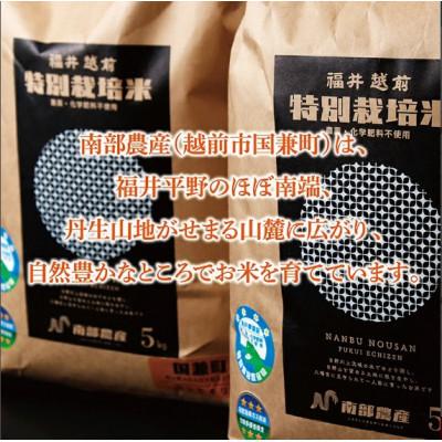 ふるさと納税 越前市 令和7年度 特別栽培米 コシヒカリ　5kg |  | 01