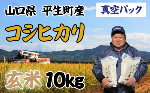 【真空パック】コシヒカリ 玄米 10kg（5kg×2袋）令和5年産 a10-1