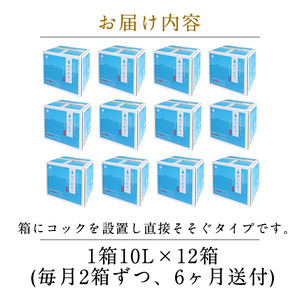 K-493 ＜定期便・全6回＞関平鉱泉水10L×2箱ずつお届け(計12箱)【関平鉱泉所】霧島市 シリカ シリカ水 水 シリカミネラルウォーター