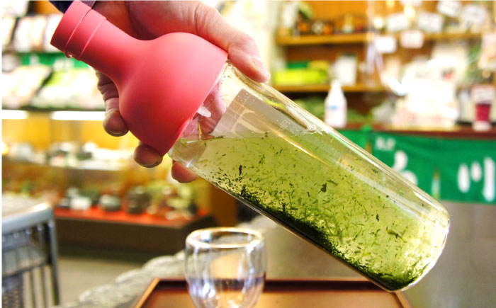 お茶 煎茶 白川茶 茶葉 ギフト 白川町 ボトル付き ボトル 手軽 水出し煎茶 冷茶 緑茶 高級 新茶 希少 セット