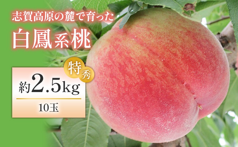 志賀高原の麓で育った桃（白鳳系）特秀10玉　約2.5kg