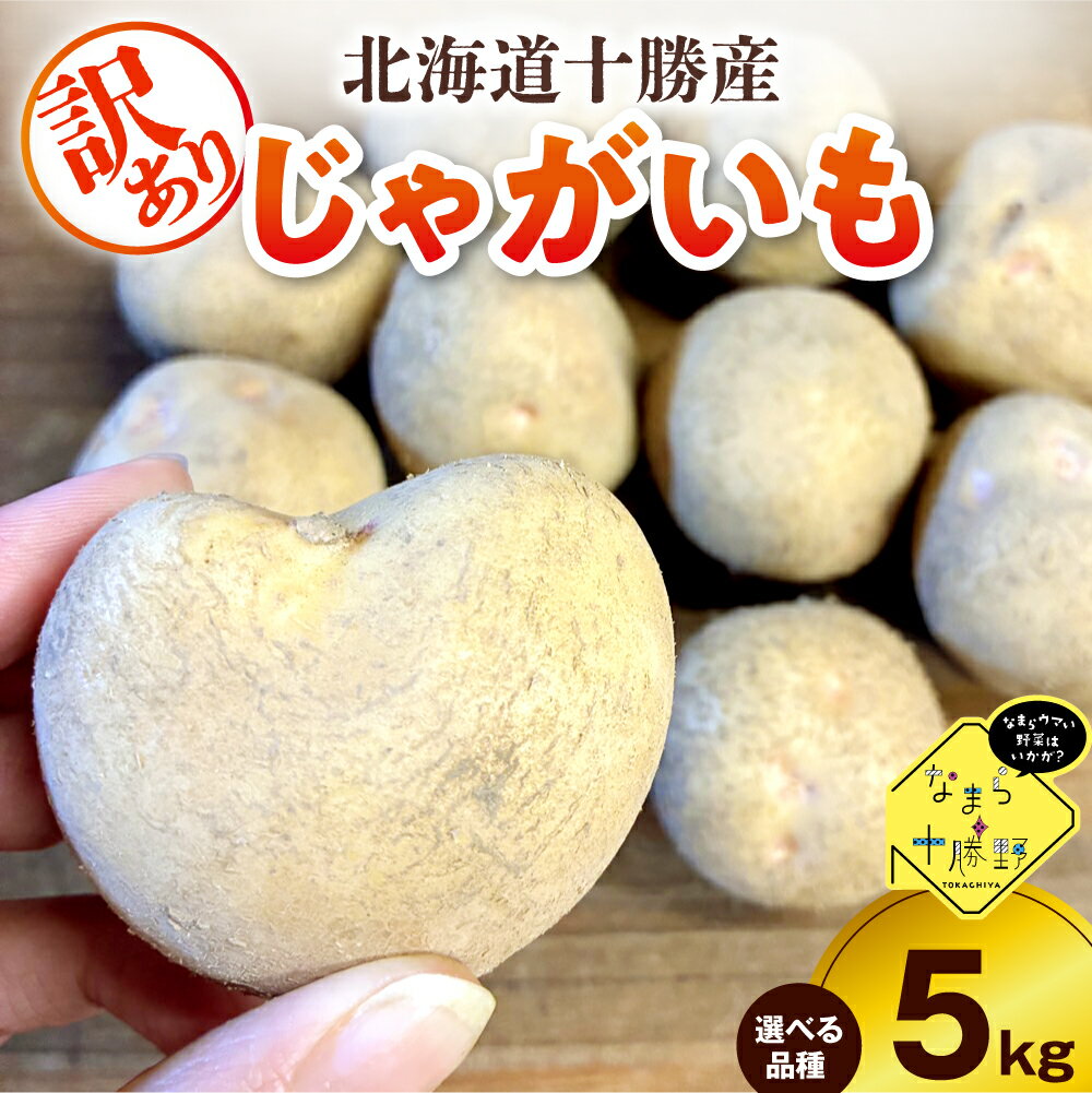 【ふるさと納税】 【訳あり】 農家応援 じゃがいも 5kg ( 選べる 品種 : キタアカリ / メークイン / 北海こがね )【10月上旬～1月下旬頃配送】 / 芋 おいも ジャガイモ 肉じゃが シチュー カレー ポテトサラダ 煮込み料理 炒め物 産地直送 北海道 十勝 芽室町