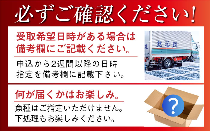 【五島列島・直送】朝獲れ！高級鮮魚セット4kg 五島市 / 鯛福丸水産 [PDP003]