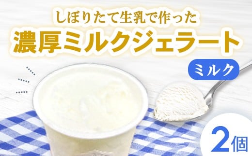 
            しぼりたて生乳で作った濃厚ミルクジェラート 2個セット  ジェラート シャーべット アイスクリーム アイス 生乳 ミルク ジェラート クリーミー デザート 氷菓子 スイーツ 濃厚 冷凍 佐賀県 太良町 LA6
          