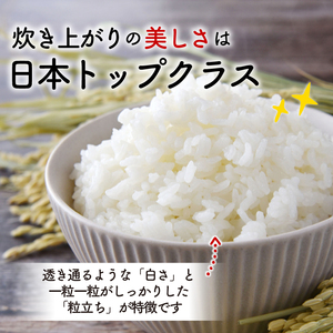 令和7年度産 特A 米 銀河のしずく 2kg 米