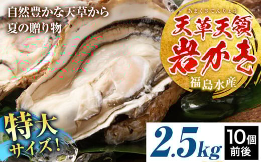 天領岩牡蠣 約2.5kg 福島水産《30日以内に出荷予定(土日祝除く)》熊本県 苓北町 牡蠣 かき カキ 岩カキ 岩ガキ 貝 BIG ビッグ 生食 バーベキュー 夏天草 天領 苓北 熊本 旬 シーズン 送料無料【配送不可地域あり】