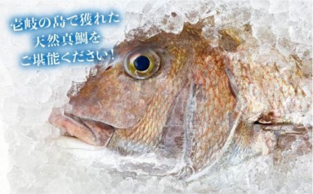 【全6回定期便】鯛茶漬（4人前） [JAO034] 66000 66000円  コダワリ鯛茶漬け こだわり鯛茶漬け おすすめ鯛茶漬け おススメ鯛茶漬け 人気鯛茶漬け 定番鯛茶漬け 通販鯛茶漬け お取り