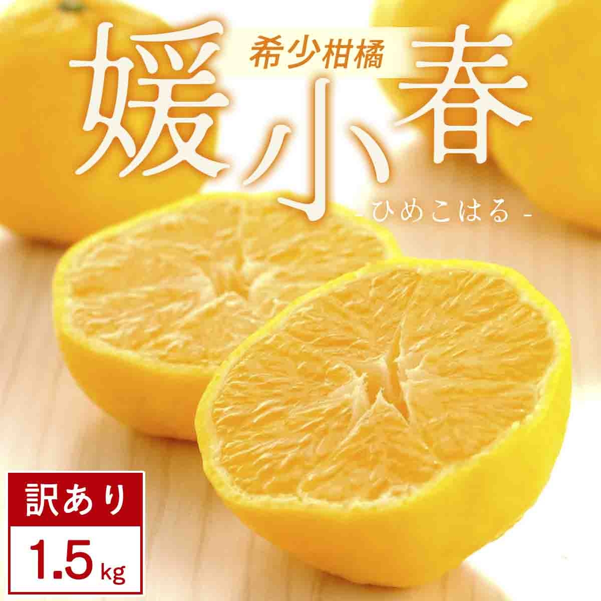 
                  【先行受付】＜訳あり＞媛小春 1.5kg みかん 愛媛県 八幡浜市 西宇和地区 希少な幻の柑橘＜C25-359＞【1715672】 YWTAP300
                