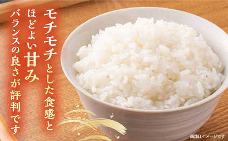 壱岐産 こしひかり 5kg《壱岐市》【壱岐市農業協同組合】 米 お米 ご飯 お弁当 常温発送[JBO147]