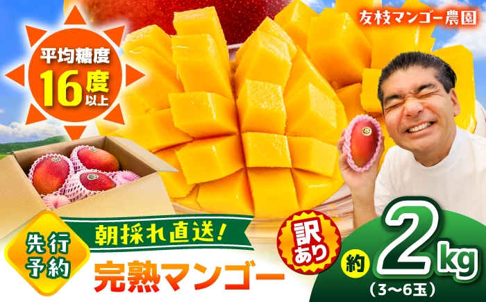 
                  【先行予約】【2027年6月上旬から順次発送】訳あり 菊池マンゴー約2kg（3〜6玉） L〜4Lサイズ 【友枝マンゴー農園】果物 フルーツ マンゴー アーウィン くだもの 旬 期間限定 季節限定 スイーツ 国産 [AYDF002]
                